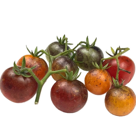 Inkspot Micro Dwarf Tomato 20 Seeds