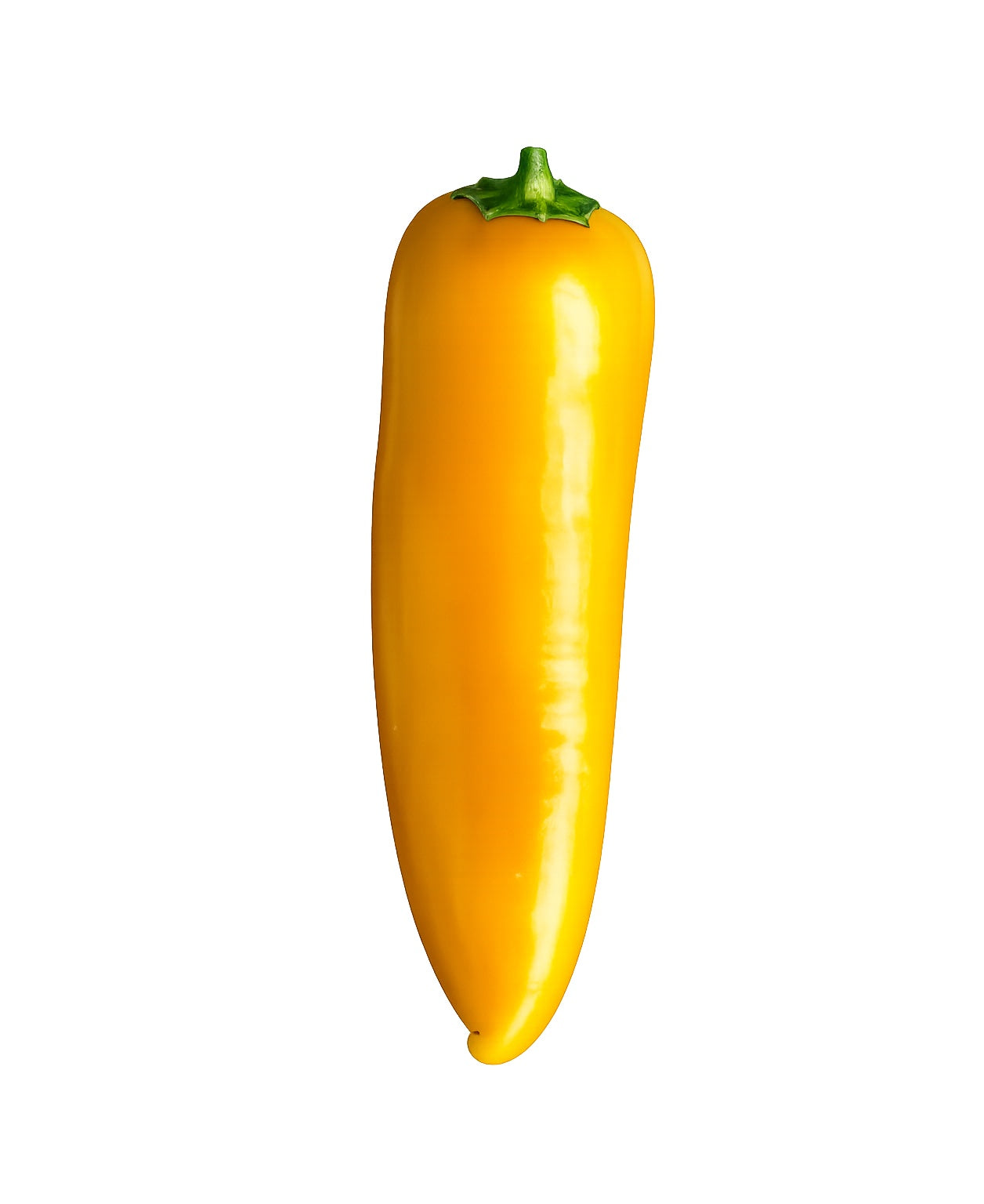 Lunchbox Pepper 50 Seeds
