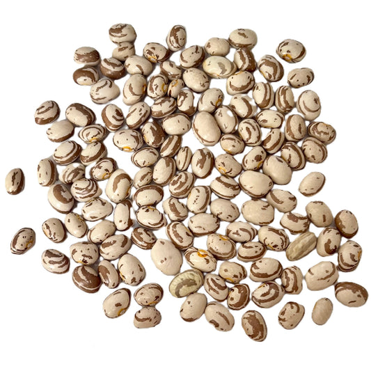 Kahnawake Mohawk Bean– Indigenous Heirloom Pole Bean Seeds