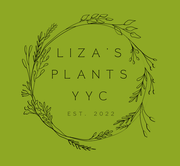 LIZA'S PLANTS YYC