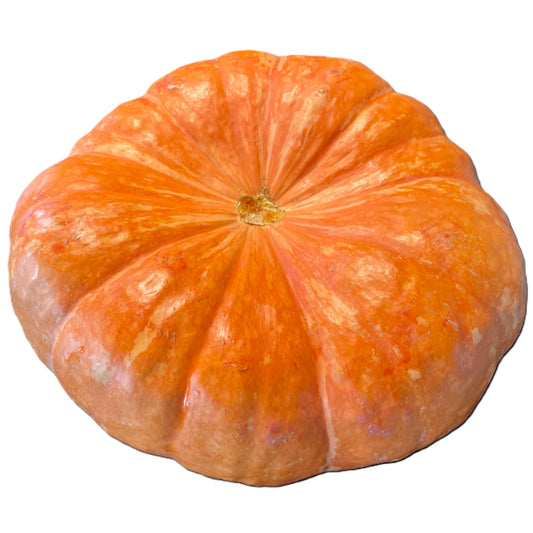 Shadow Moon Pumpkin  Seeds