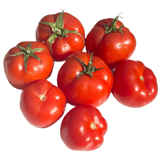 Little Sicily Tomato 25 Seeds