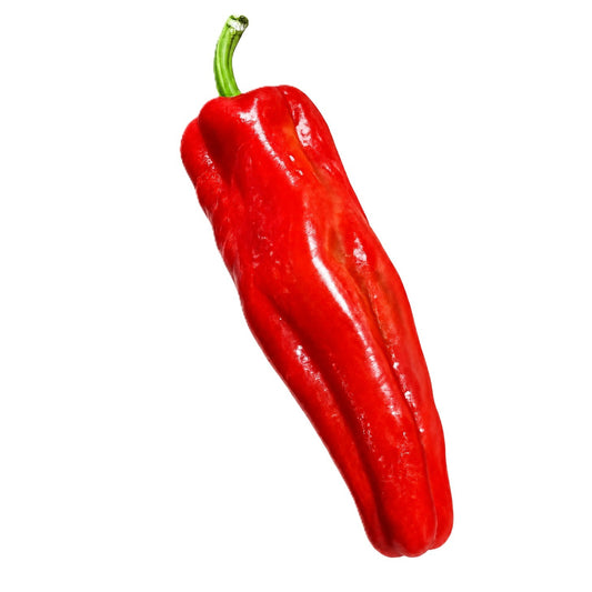 Red Spanish Mammoth Pepper  50 Seeds
