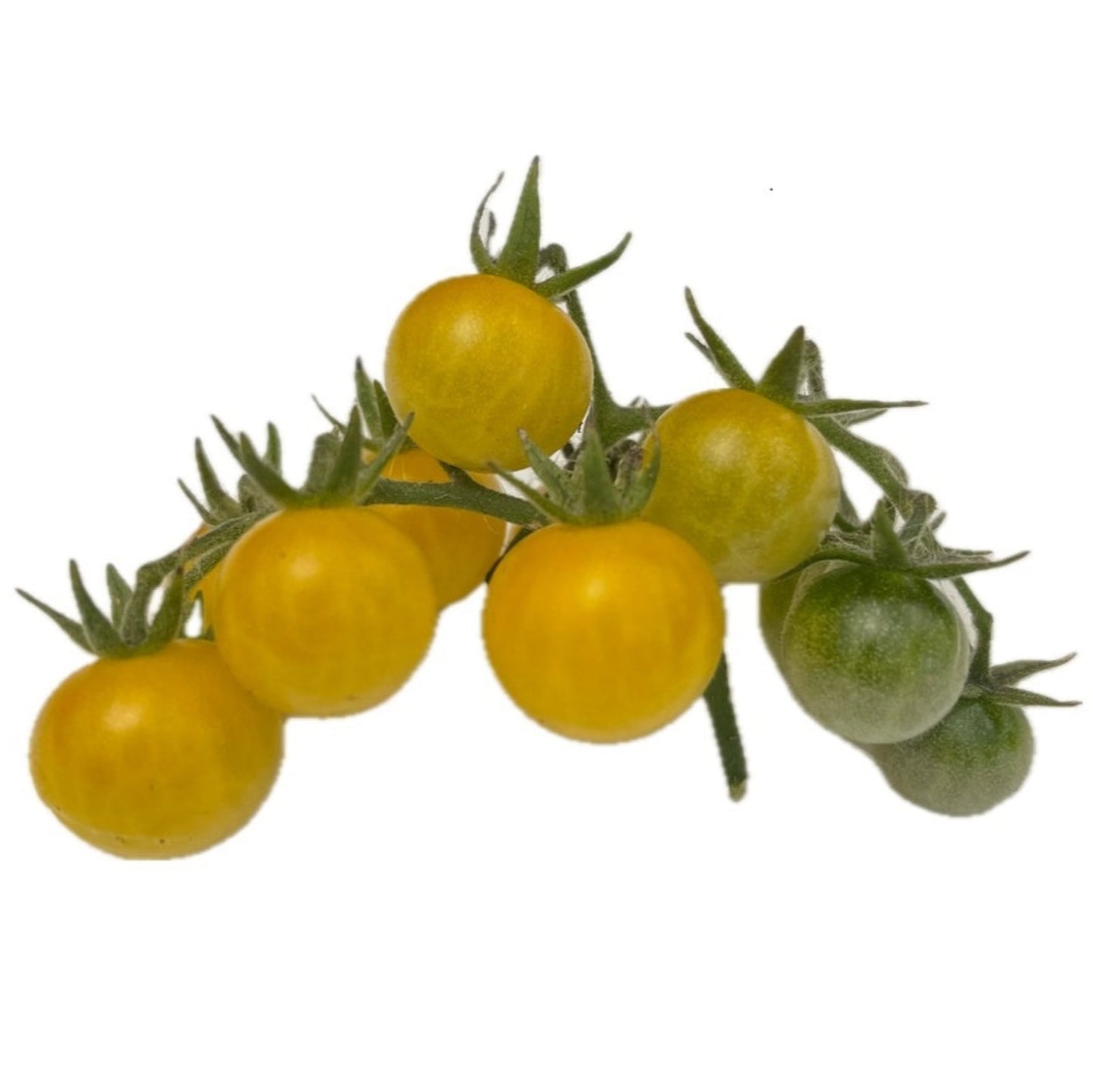 White Currant Tomato 25 Seeds