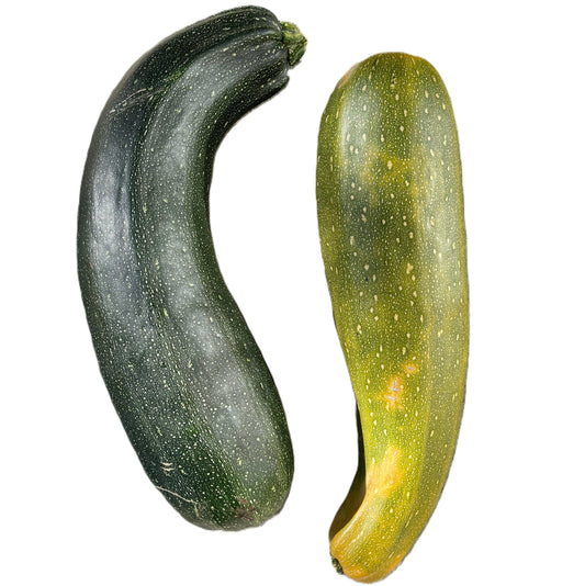 Green Zucchini Seeds