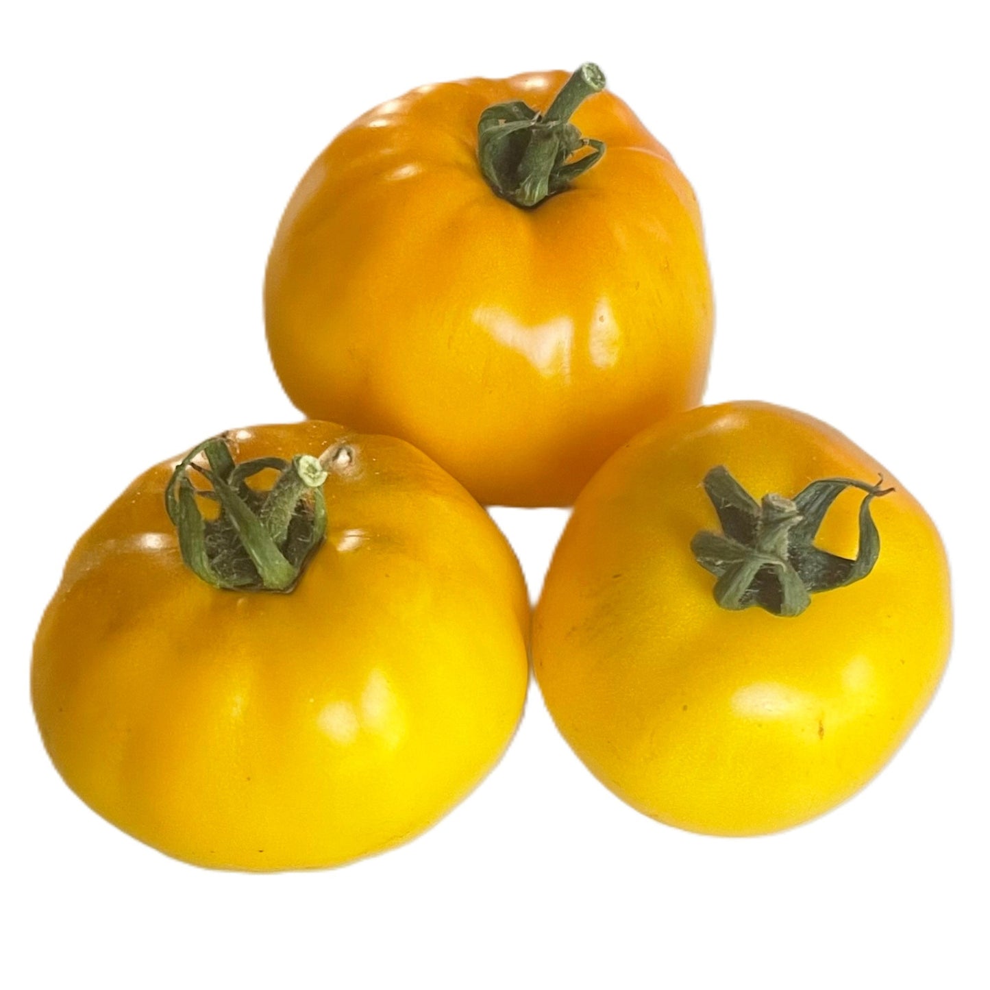 Golden Klusha Tomato 25 Seeds
