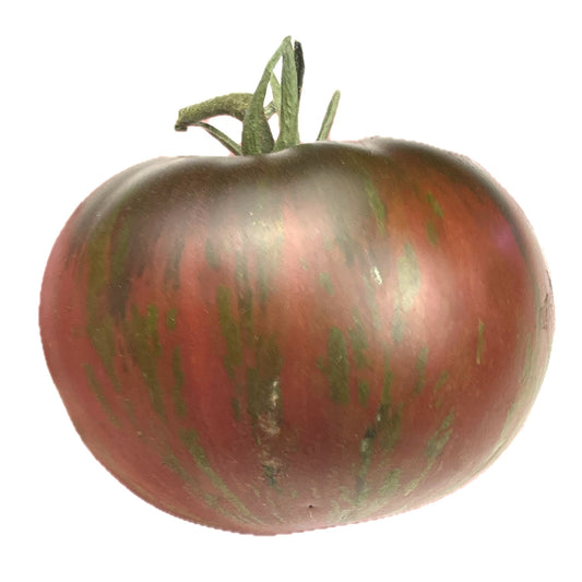 Berkeley Tie-Dye Pink Tomato 25 Seeds