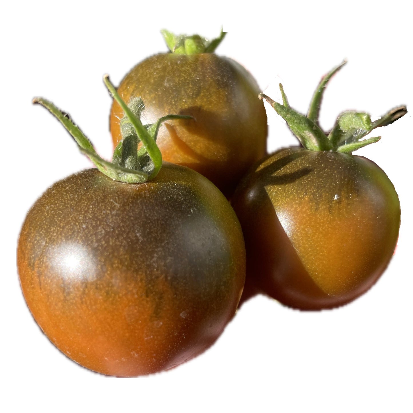 Kumato Tomato 25 Seeds