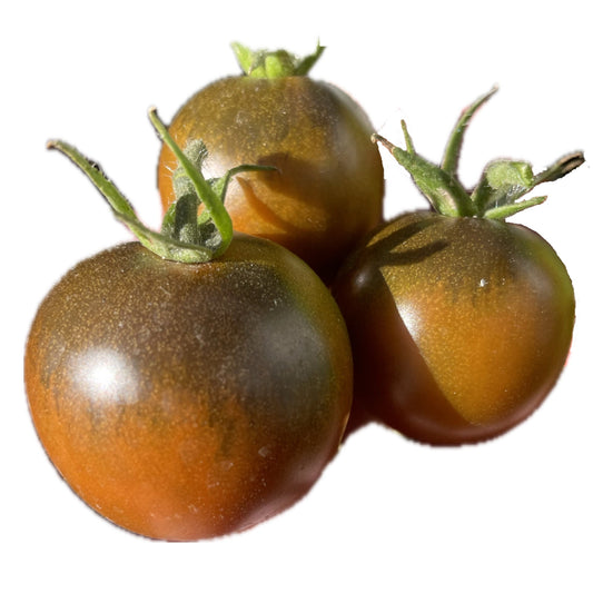 Kumato Tomato 25 Seeds
