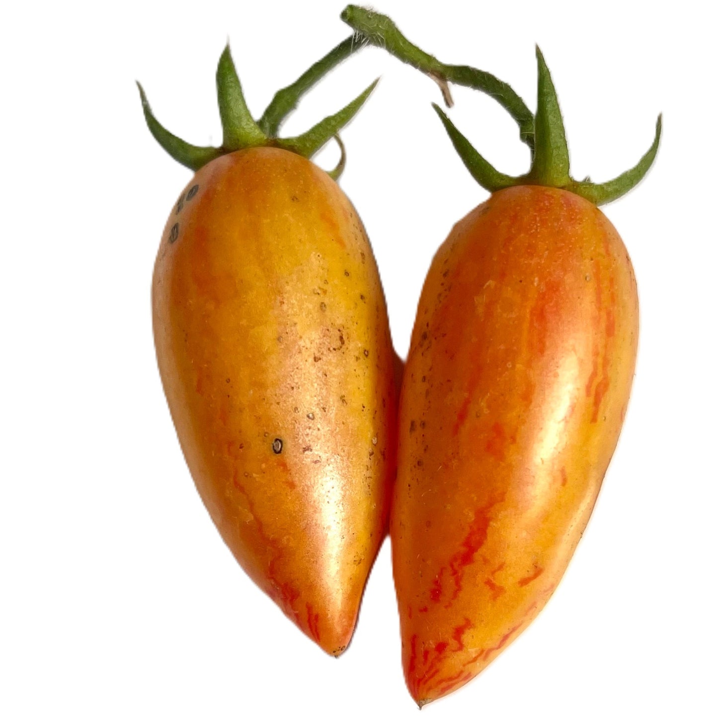 Sweet Cream Tomato Seeds